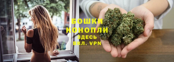 прущие грибы Баксан