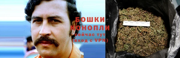 трава Белоозёрский