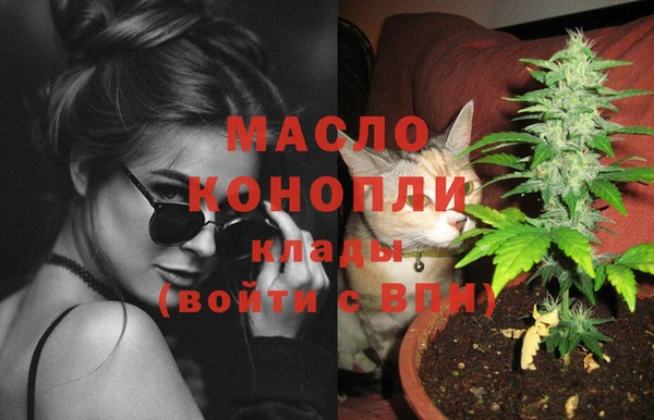 индика Белокуриха