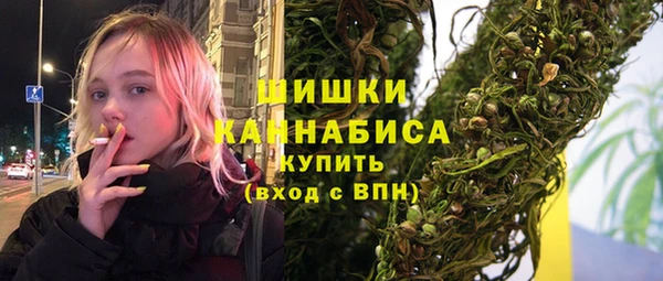 прущие грибы Баксан