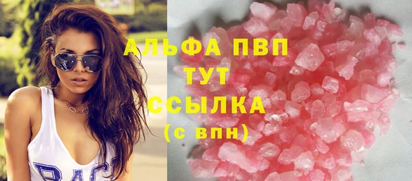 прущие грибы Баксан
