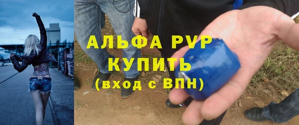 прущие грибы Баксан