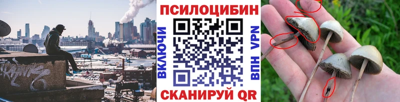 Псилоцибиновые грибы Cubensis  что такое   Обоянь 